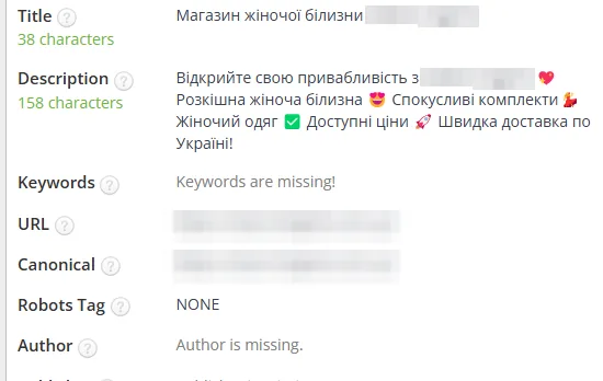 SEO-теги после оптимизации: женское белье