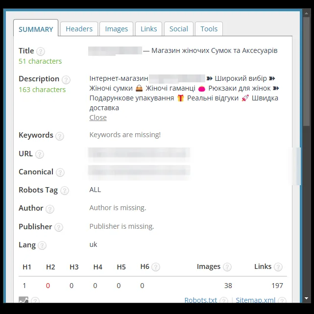 Панель проверки SEO-тегов главной страницы магазина сумок после оптимизации