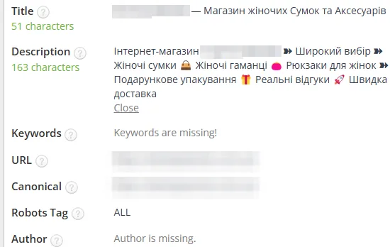SEO-теги после оптимизации: женские сумки