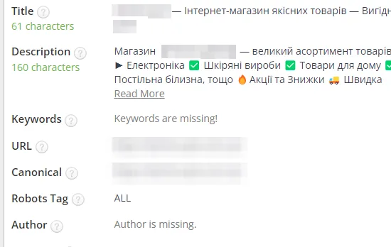 SEO-теги после оптимизации: товары широкого потребления